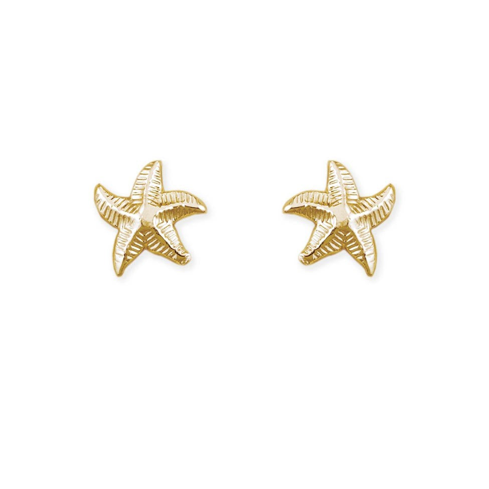 SA5/6/GLD